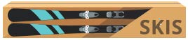 skiis-1